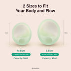 Signature Disc - Mint Whisper